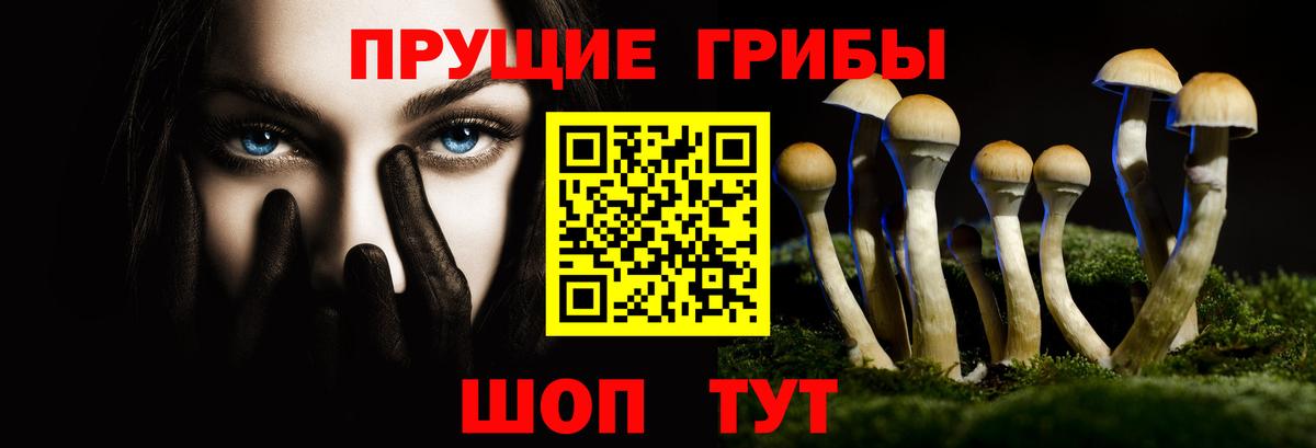 Стрежевой  Псилоцибиновые грибы мицелий  Вход с VPN 